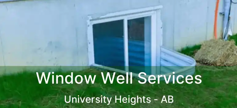  Window Well Services University Heights - AB