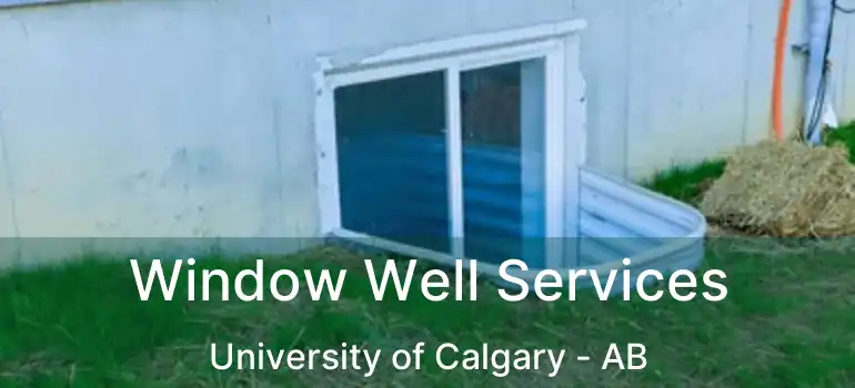  Window Well Services University of Calgary - AB