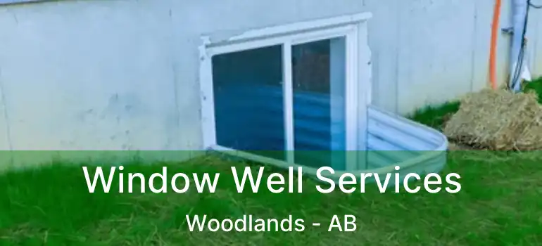  Window Well Services Woodlands - AB