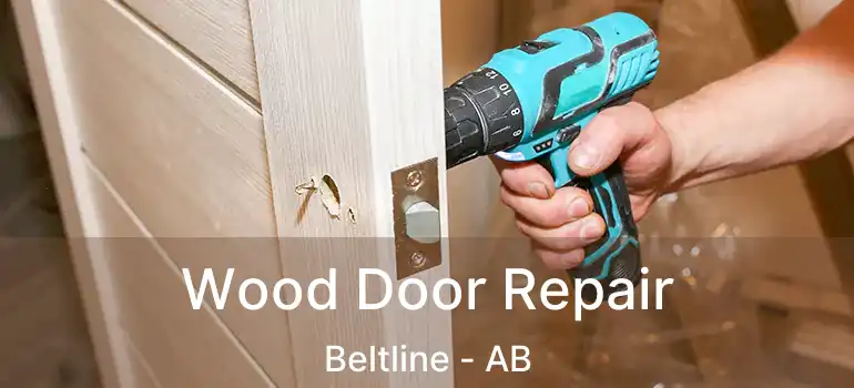  Wood Door Repair Beltline - AB