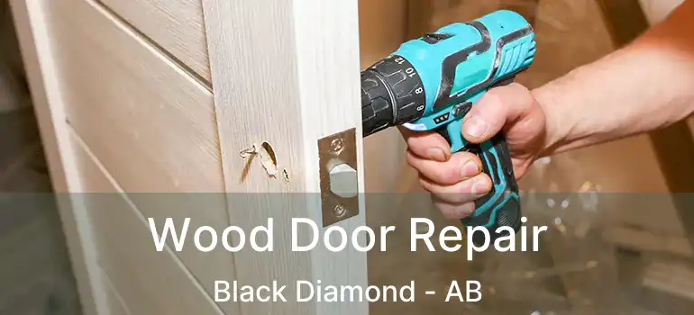  Wood Door Repair Black Diamond - AB