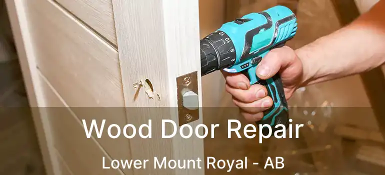  Wood Door Repair Lower Mount Royal - AB
