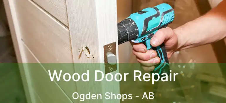  Wood Door Repair Ogden Shops - AB