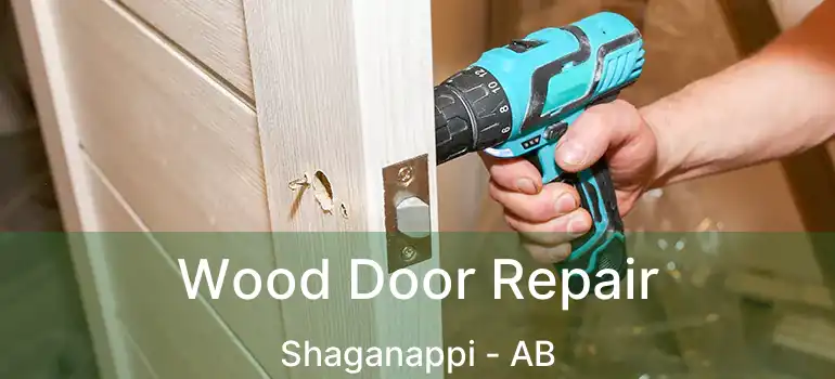  Wood Door Repair Shaganappi - AB